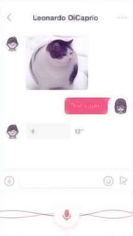 网站流量攻击软件程序维护界面